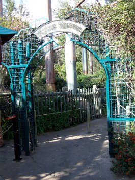 20061209_141505 null