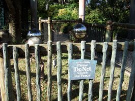 20061209_141549 null