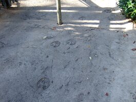 20061209_141608 null