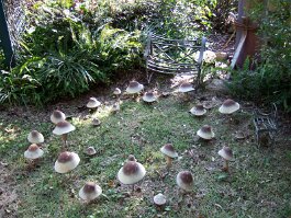 20061209_141622 null