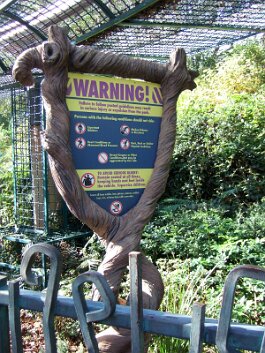 20061209_141636 null