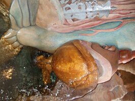 20061209_135631 null