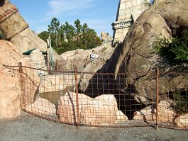 20061209_094144 null