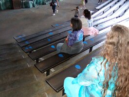 20061209_151239 null