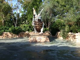 20061209_094042 null