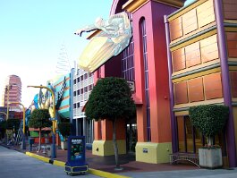 20061209_085434 null