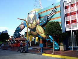 20061209_085506 null