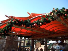 20061209_083959 null