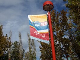 20061209_125348 null