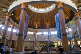 20260223_131835 null