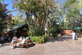 20260223_132246 null