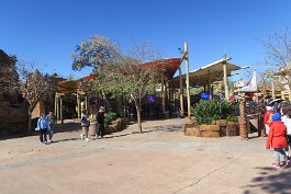 20260223_103008 null