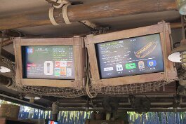 20260223_133152 null