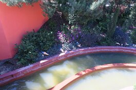 20260223_133245 null