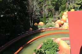 20260223_133248 null