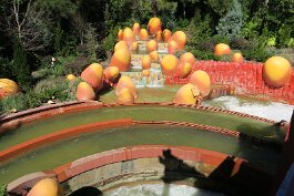 20260223_133259 null