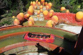 20260223_133315 null