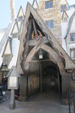 20260223_130317 null