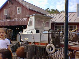 19981117_039 null