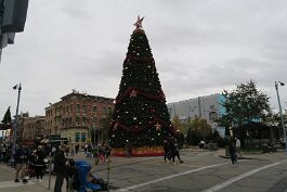 20231215_161259 null