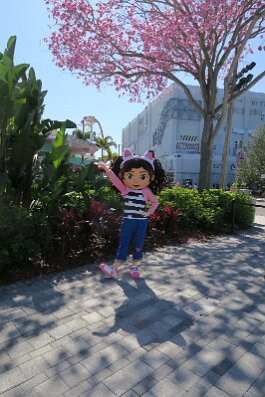 20240226_134608 null