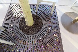20240224_163248 null