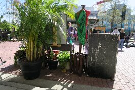 20240224_143237 null