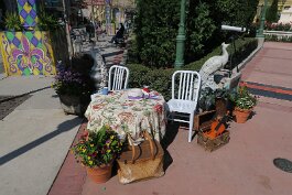 20240226_110521 null