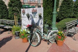 20240226_110601 null