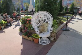 20240226_160322 null