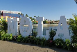 20240226_163734 null