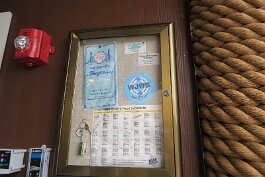 20240912_114351 null