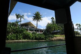20201119_120550 null