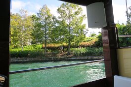 20201119_120738 null