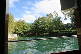 20201119_120814 null
