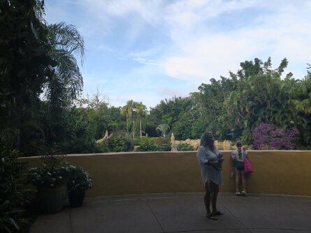 DiscoveryCove