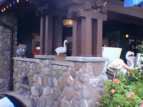 19991119_095_notime null