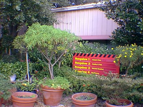 19991119_116_notime null