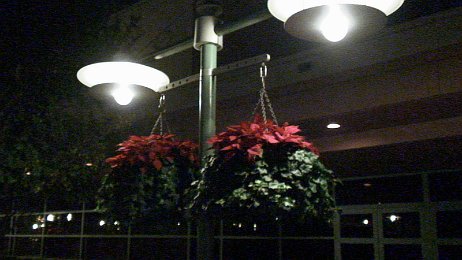 20061204_181457 null