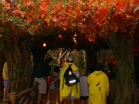 19981017_030147 null