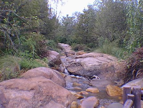 19981024_033505 null