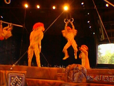 FestivalOfTheLionKing