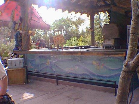 19991113_172_notime null