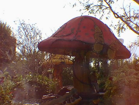 19991113_174_notime null