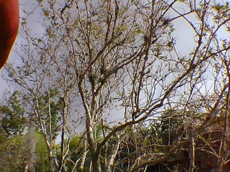 19991113_177_notime null