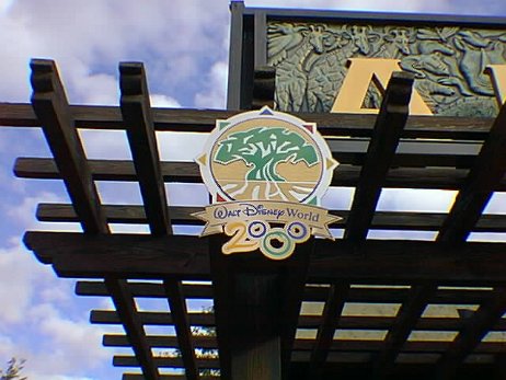 19991107_003_notime null