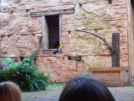 20061205_130023 null