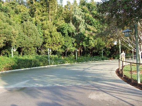 20061205_081807 null