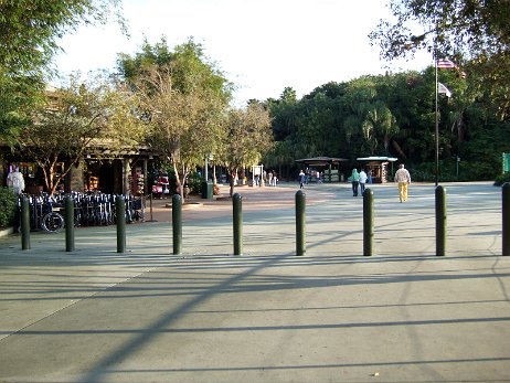 20061205_081826 null