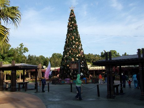 20061205_081913 null